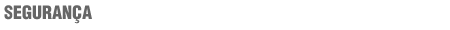 Segurana